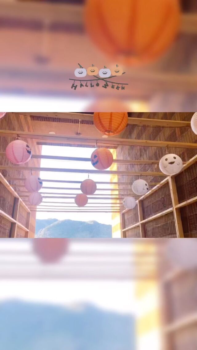 🎃👻
#南房総 
#潮風王国