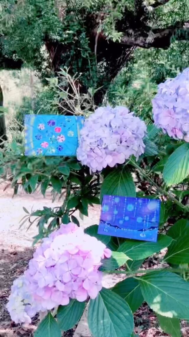 ６月もおつかれさまでした⌖˖°#紫陽花 #梅雨