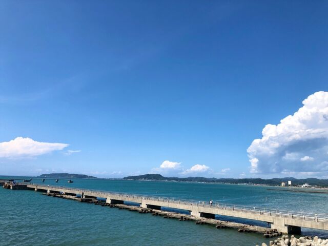 夏休みのおでかけ

さかなクンのことを、おさかなサンと呼ぶ母に
じわじわ来ています🐟

#館山 
#渚の博物館 
#さかなクンギャラリー