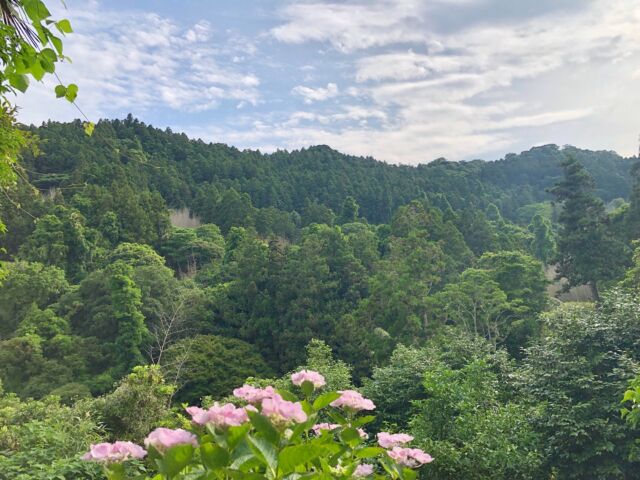 徒歩1分。
朝夕はまだ涼しいですね。

今年はここからお祈り。

#沖縄慰霊の日