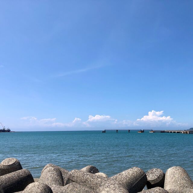 今年は海に入らなかったけれど、
本の中をぷかぷかぷーと泳いでいました🐟

夏の記憶がふわっとよみがえってきて、
読書は不思議ですね。

𓂃 𓈒𓏸 𓐍

⋆⸜出展中⸝⋆
ART FOR THE EARTH 2025
ー安房・平和のための美術展ー
最終日8月31日（日）は15時まで🌏

私も午後から、ぴょこっといる予定です。
どうぞよろしくお願いいたします🌿

会場：館山市コミュニティセンター　
展示ホール（南総文化ホール隣）

#南房総
#館山
#美術展