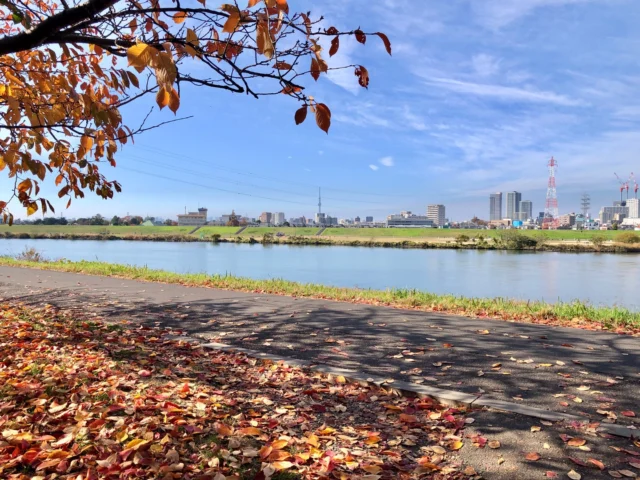 おでかけ🐧
18年ぶりの再会と懐かしい学生気分𓂃 𓈒𓏸 𓐍

#新宿
#市川
#江戸川