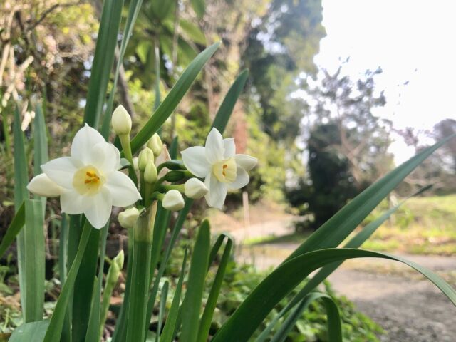 おでかけ🗳️

#衆議院選挙 
#期日前投票