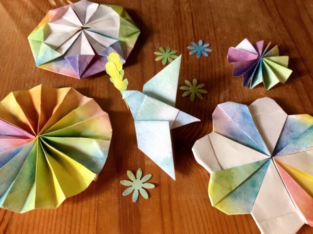 🌼🕊️

#国際女性デー