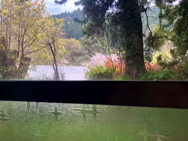 たけのこ掘っておでかけ🗳️

#南房総市長選挙
#市議会選挙
#期日前投票